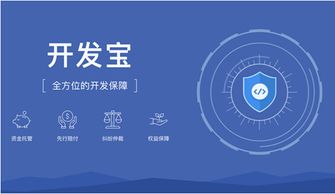 碼市開發寶 構建云端軟件開發生態閉環，引領軟件開發新范式